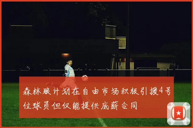 森林狼计划在自由市场积极引援4号位球员但仅能提供底薪合同