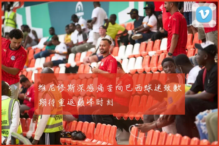 维尼修斯深感痛苦向巴西球迷致歉期待重返巅峰时刻